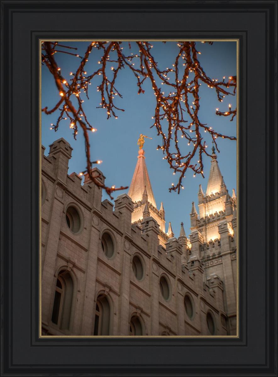 Salt Lake City Temple He Giveth Light