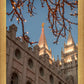 Salt Lake City Temple He Giveth Light