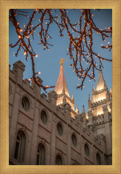 Salt Lake City Temple He Giveth Light