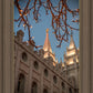 Salt Lake City Temple He Giveth Light