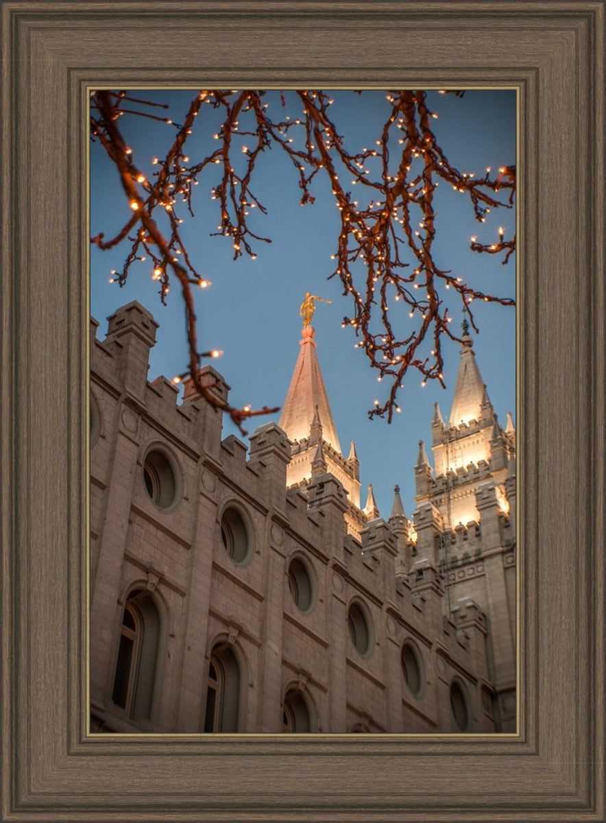 Salt Lake City Temple He Giveth Light