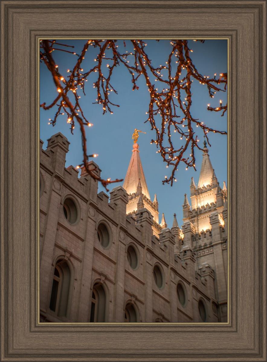 Salt Lake City Temple He Giveth Light