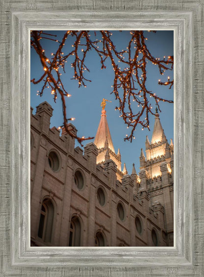 Salt Lake City Temple He Giveth Light