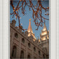 Salt Lake City Temple He Giveth Light