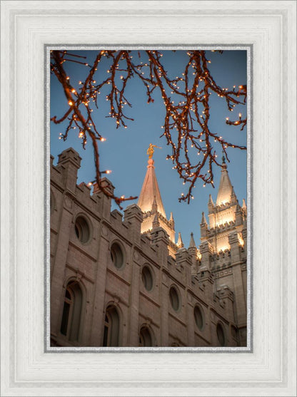 Salt Lake City Temple He Giveth Light