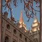 Salt Lake City Temple He Giveth Light