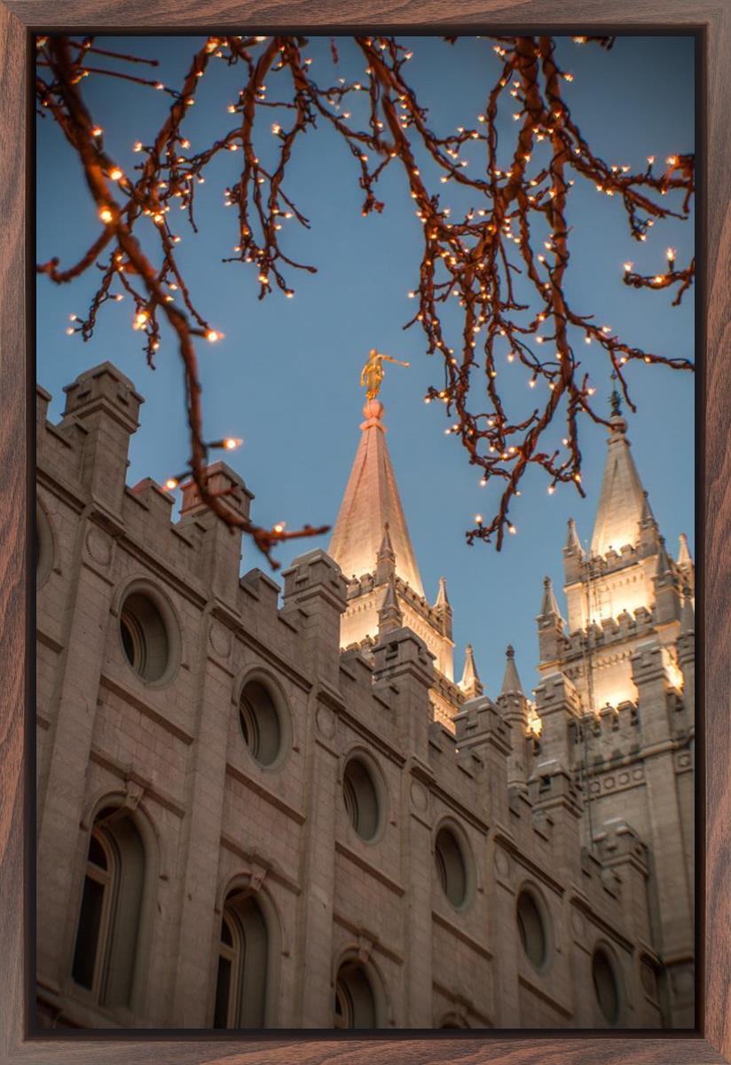 Salt Lake City Temple He Giveth Light