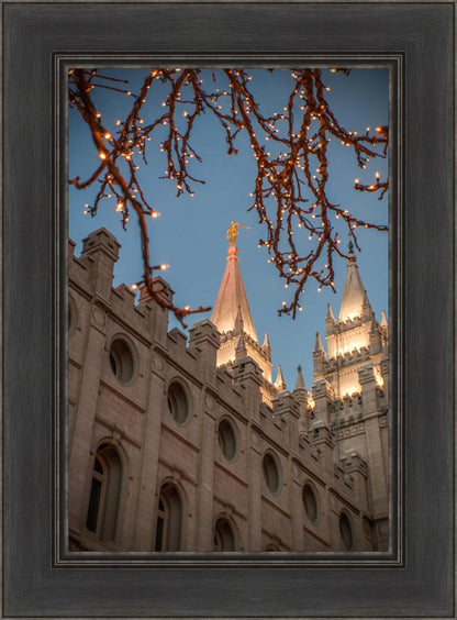 Salt Lake City Temple He Giveth Light