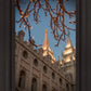 Salt Lake City Temple He Giveth Light