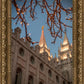 Salt Lake City Temple He Giveth Light