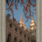 Salt Lake City Temple He Giveth Light