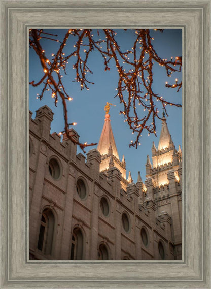 Salt Lake City Temple He Giveth Light