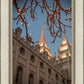 Salt Lake City Temple He Giveth Light