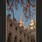 Salt Lake City Temple He Giveth Light