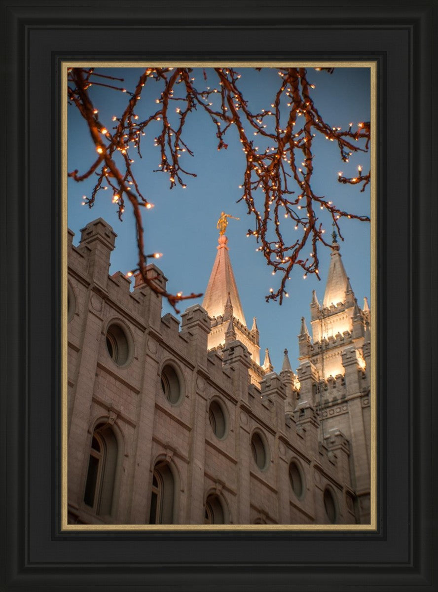 Salt Lake City Temple He Giveth Light