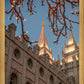 Salt Lake City Temple He Giveth Light