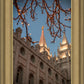 Salt Lake City Temple He Giveth Light