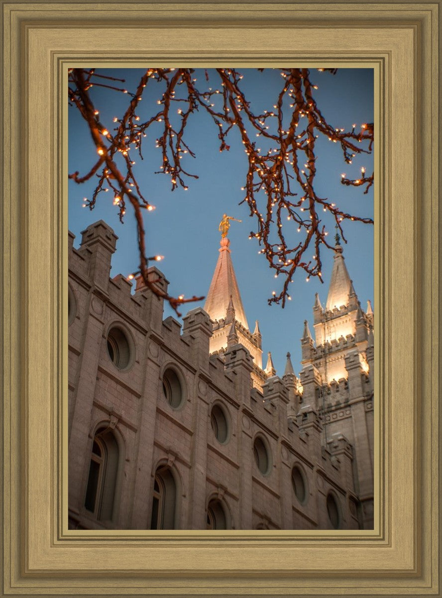 Salt Lake City Temple He Giveth Light