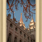 Salt Lake City Temple He Giveth Light