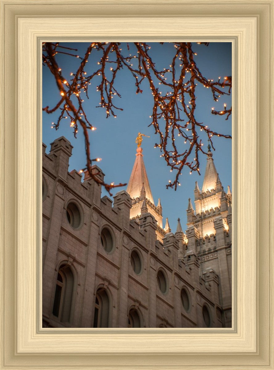 Salt Lake City Temple He Giveth Light