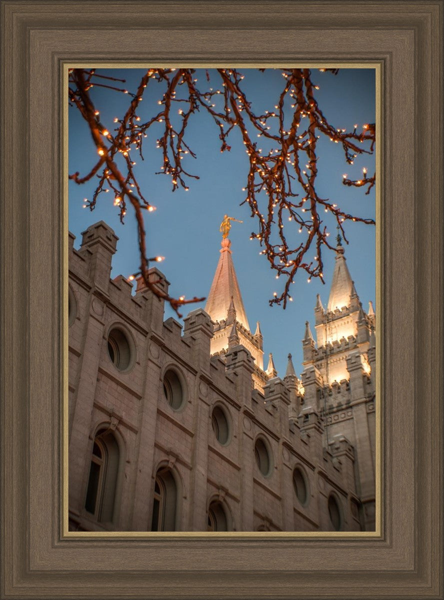 Salt Lake City Temple He Giveth Light