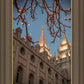 Salt Lake City Temple He Giveth Light