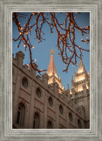 Salt Lake City Temple He Giveth Light