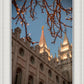 Salt Lake City Temple He Giveth Light