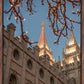 Salt Lake City Temple He Giveth Light