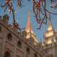 Salt Lake City Temple He Giveth Light