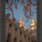 Salt Lake City Temple He Giveth Light