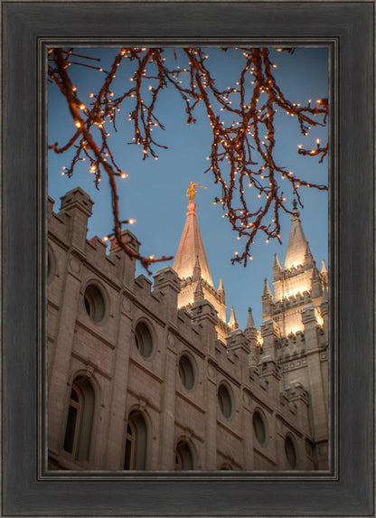Salt Lake City Temple He Giveth Light