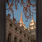 Salt Lake City Temple He Giveth Light