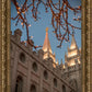 Salt Lake City Temple He Giveth Light