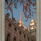 Salt Lake City Temple He Giveth Light