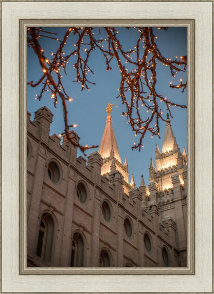 Salt Lake City Temple He Giveth Light