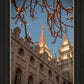 Salt Lake City Temple He Giveth Light