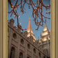 Salt Lake City Temple He Giveth Light