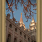 Salt Lake City Temple He Giveth Light