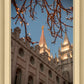 Salt Lake City Temple He Giveth Light