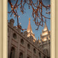 Salt Lake City Temple He Giveth Light