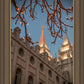 Salt Lake City Temple He Giveth Light