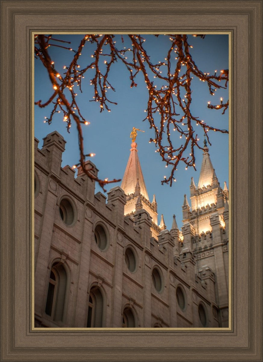 Salt Lake City Temple He Giveth Light