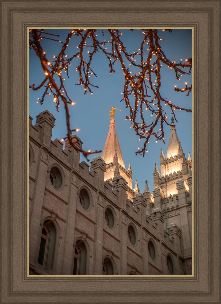 Salt Lake City Temple He Giveth Light