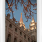 Salt Lake City Temple He Giveth Light