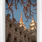 Salt Lake City Temple He Giveth Light
