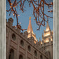 Salt Lake City Temple He Giveth Light