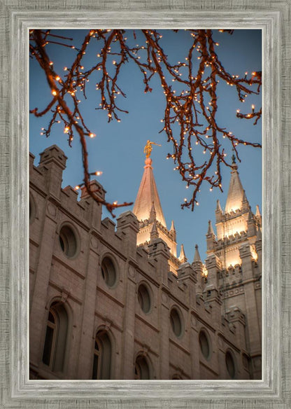 Salt Lake City Temple He Giveth Light