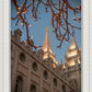 Salt Lake City Temple He Giveth Light
