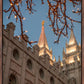 Salt Lake City Temple He Giveth Light